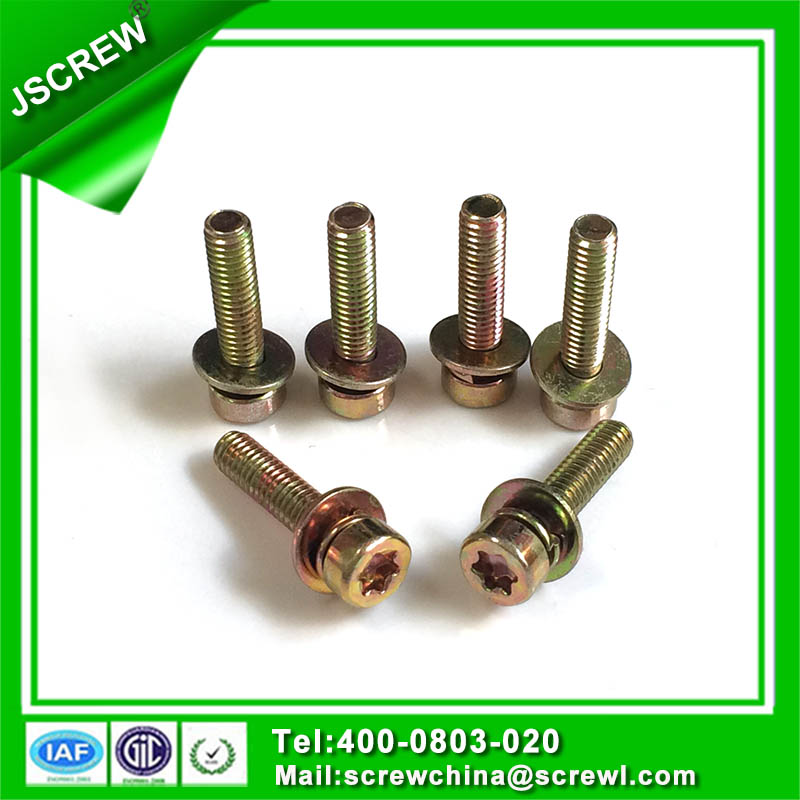 Torx Socket Head Cap Screw with Washer, Sems Screw