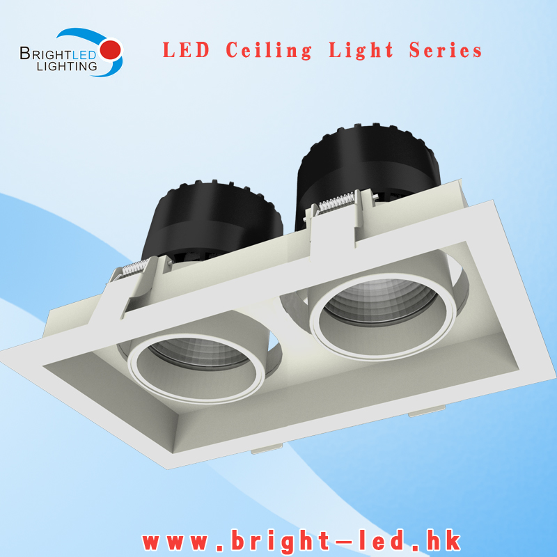 Bridgelux LED Downlight LED Ceiling Light