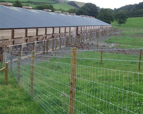 Stock Fencing, Field Fence, Grassland Fence, Link Fence