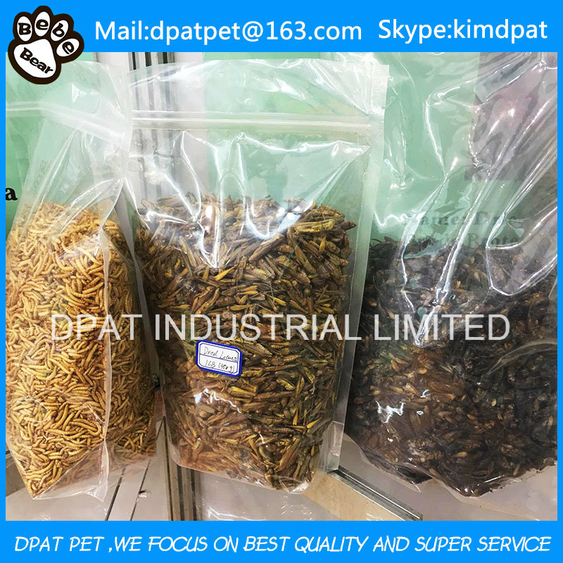 Top Quality Pet Food Dried Mealworm