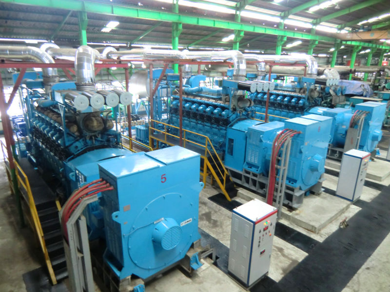 1MW-500MW Power Plant with Fuel Diesel Gas Dual Fuel Hfo