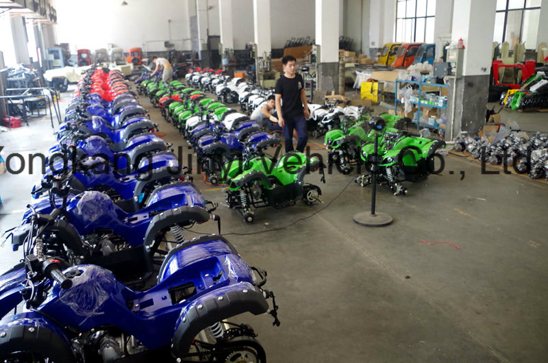 Jinyi Factory The Cheap Wholesale 110cc ATV for Kids (JY-100-1A)