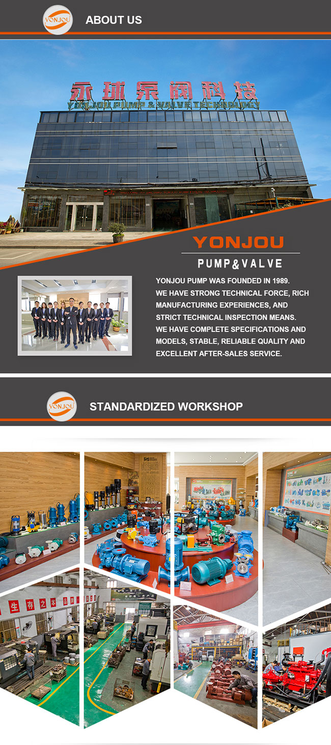 Yonjou Split Case Pump