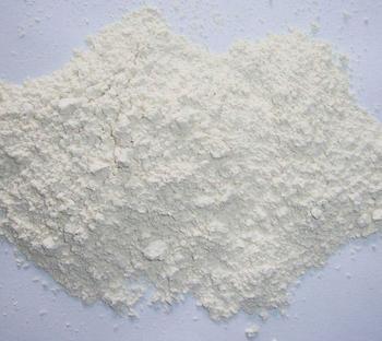 Dehydrated Garlic White Powder