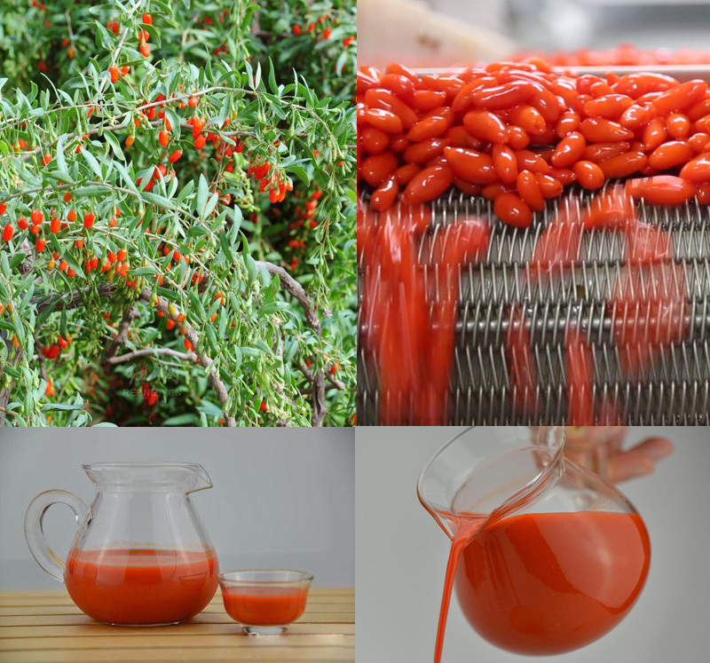 Chinese Goji Berry Concentrate Juice