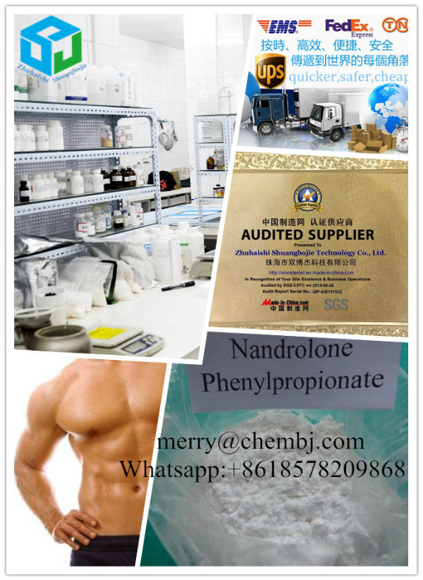 Npp Cheaper Steroid Raw Powder Nandrolone Phenylpropionate for Bodybuilder