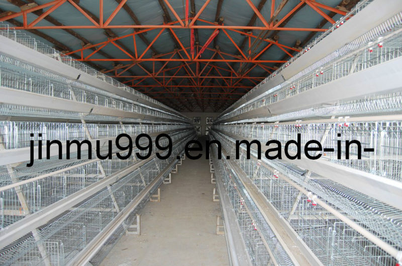 Layer Chicken Poultry Equipment Cage From China