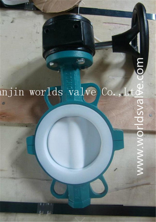 PTFE Butterfly Valve with Ce ISO Approved