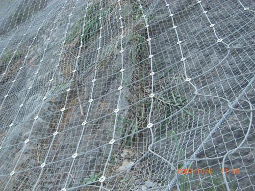 Sns Active Rockfall Protection Wire Mesh (W-ZDFH)