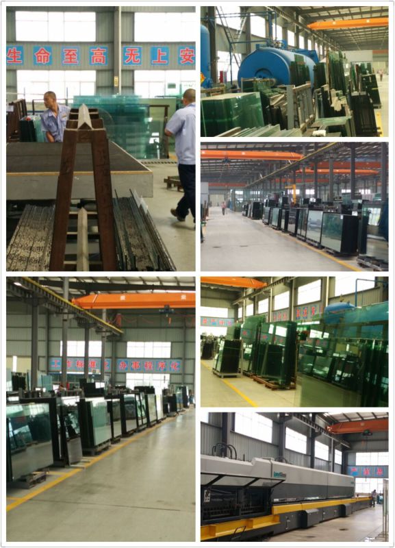 Wide Span Steel Frame Prefab Curtain Wall for Office/Mall Building