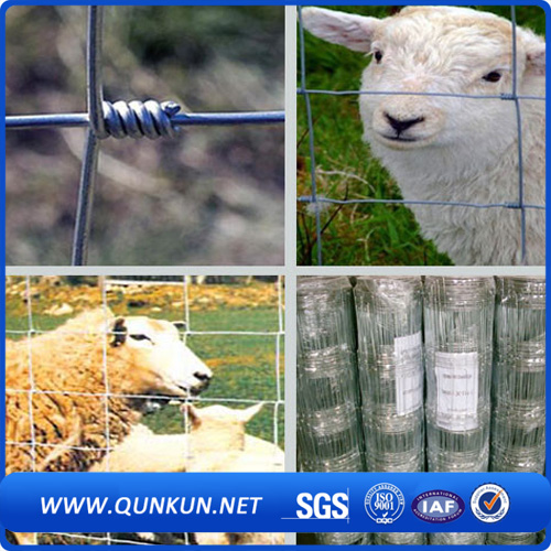 Strong High Quality Cheap Wire Mesh Cattle Fence