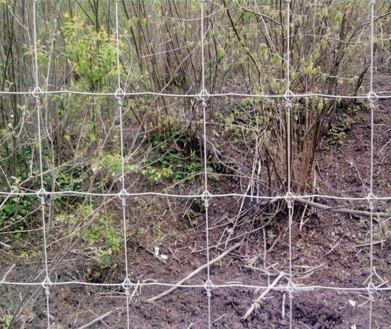 Galvanized Grassland Sheep/Cattle Fence