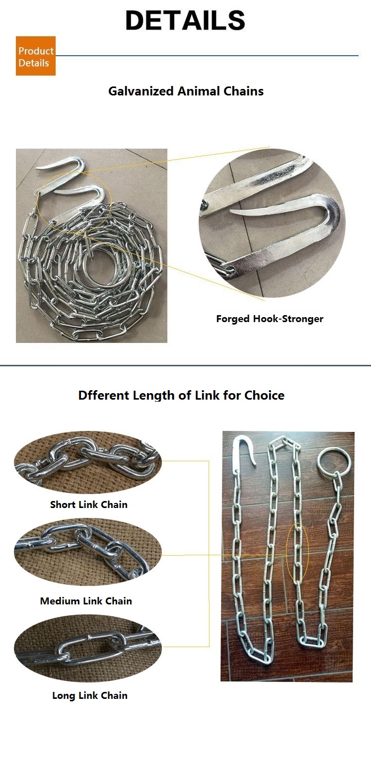 Electroplate Steel Livestock Cattle Chain