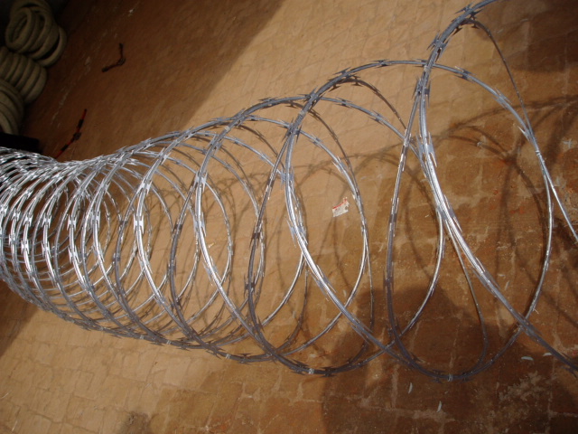 Galvanized Razor Wire/Concertina Wire