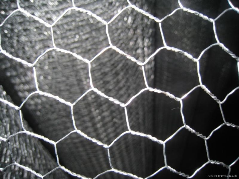 Hexagonal Wire Netting (FHSD-1091)