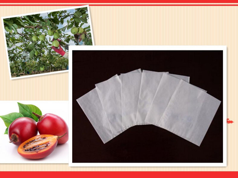 High Grade Composite Paper Ageing-Resistant Peach Fruit Growing Paper Bag to Prevent Diseases, Pests and Insect