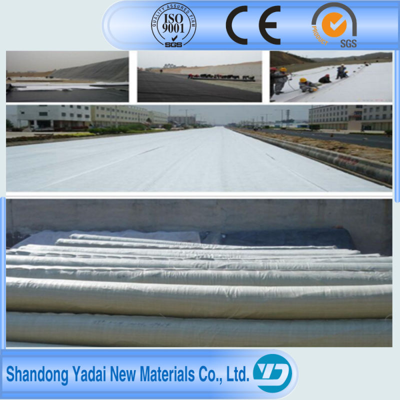 Agriculture Plastic Material Transparent Geosynthetics HDPE Geomembrane