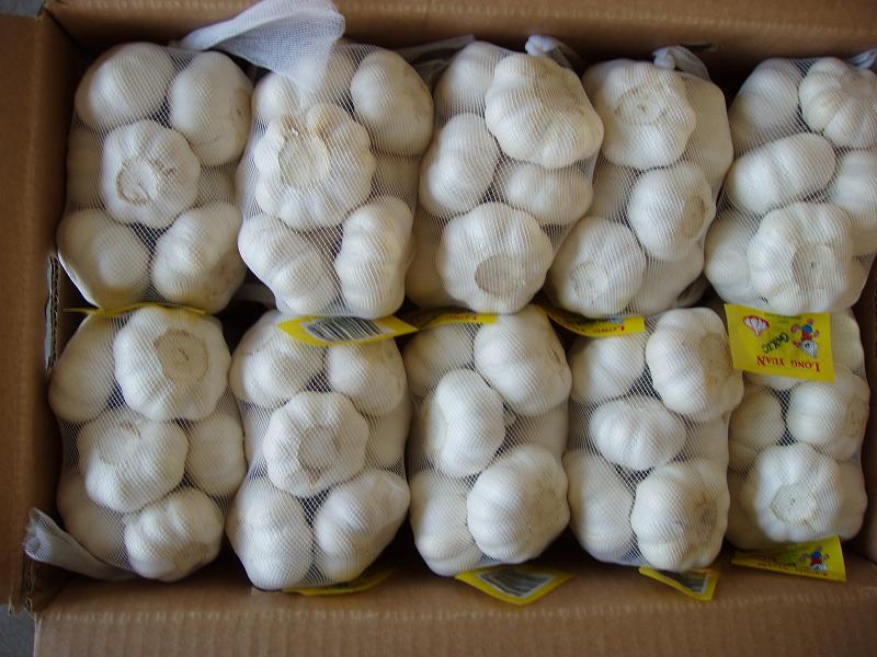 Experienced Supplier of Fresh White Garlic From China