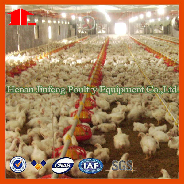 Farm Equipment Poultry Cage for Chicken Layer Boriler Pullet