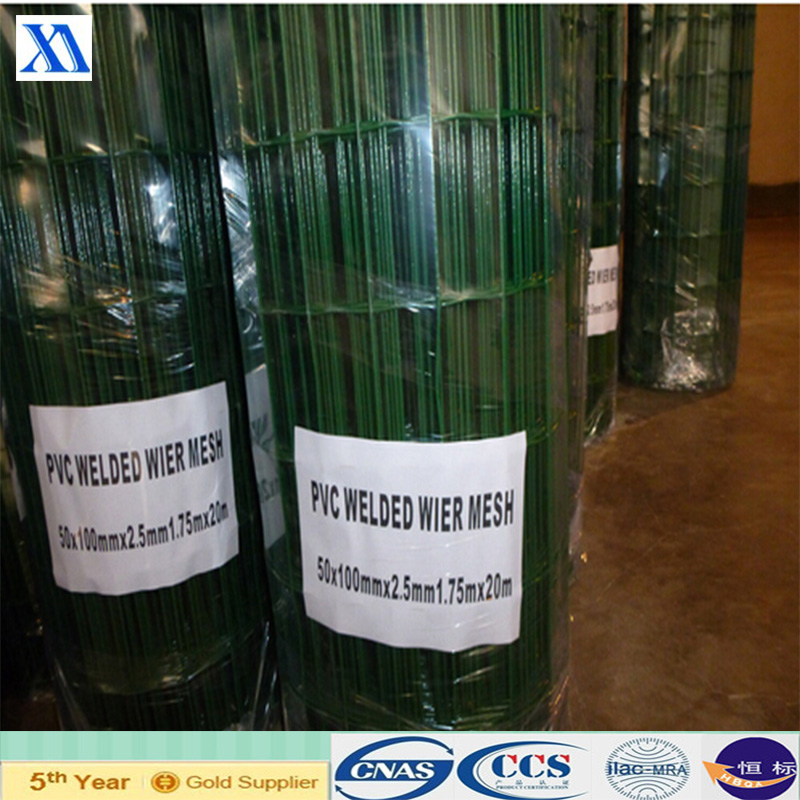 PVC Coated Welded Wire Mesh (XA-401)