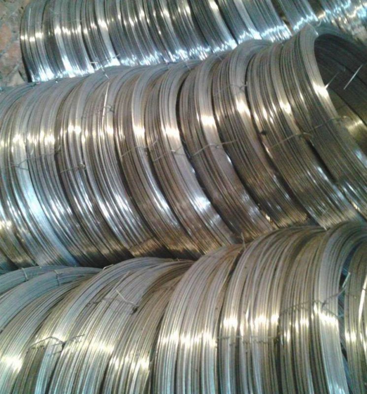 2.4X3.0mmm (17/15) 1000m 1250m Oval Galvanized Steel Wire