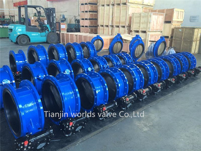 Double Flanged Butterfly Valve (WDS)