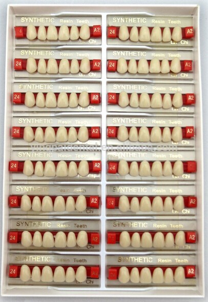 Manufacturer of 2 Layer Teeth for Upper Anterior Packing