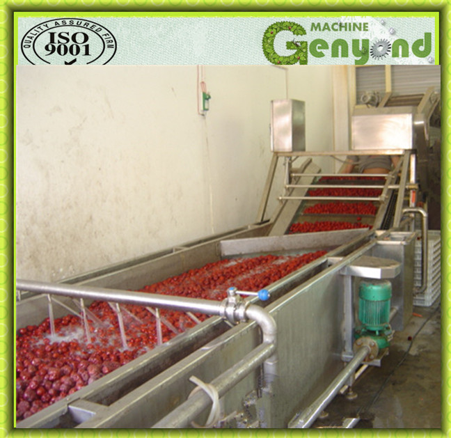 Full Stainless Steel Fruit Washing Machine