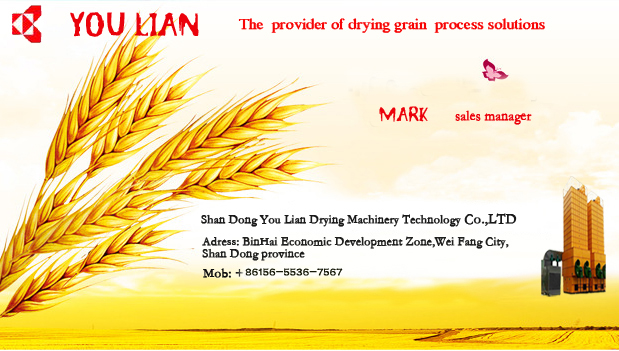 Low Temperature Circulating Grain Dryer / Rice Dryer / Maize Dryer Machine