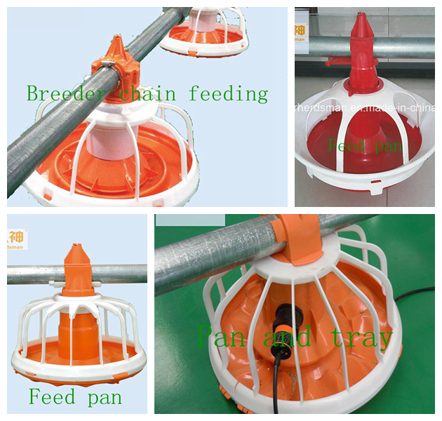 Poultry House Equipment for Broiler Layer and Breeder with Good Quality