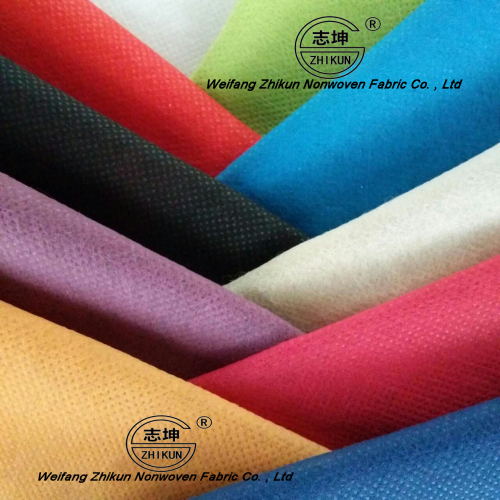 PP Non-Woven Fabric for Fashion Shopping Bag