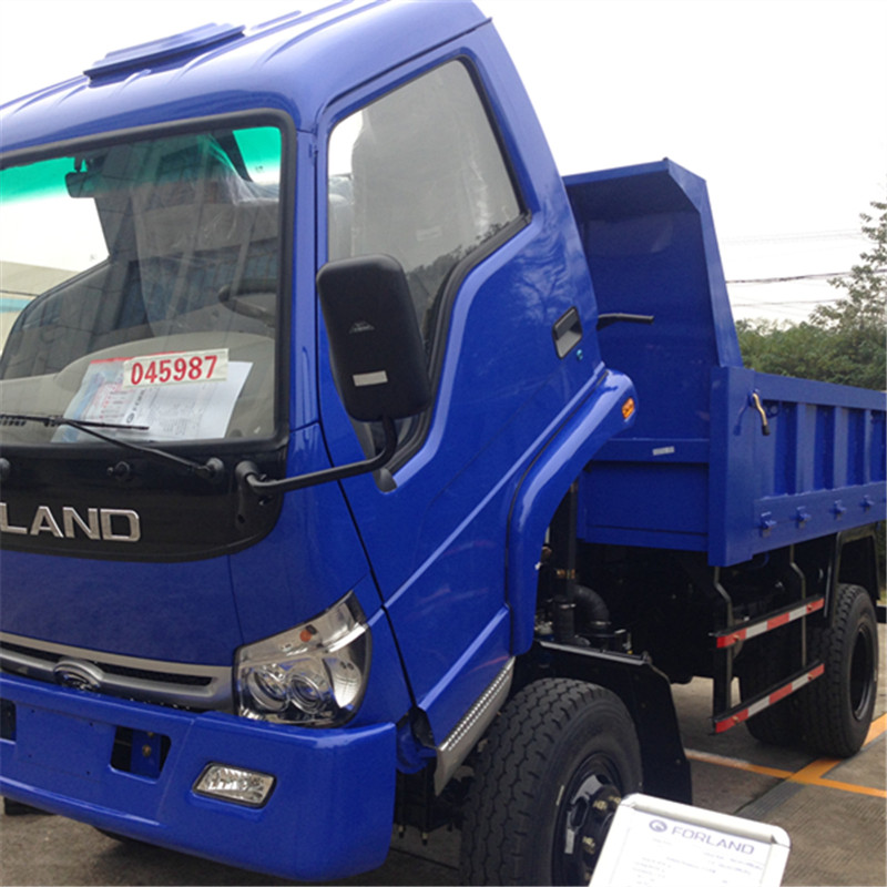 Forland 10ton 4X2 Dump Truck for Sale