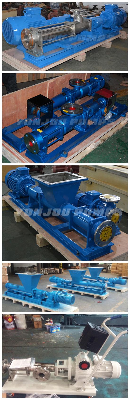 Hot Sell Stainess Steel Single Screw Pump of Food Industry