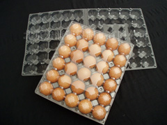 30-Compartment Plastic Egg Tray Manufacturer