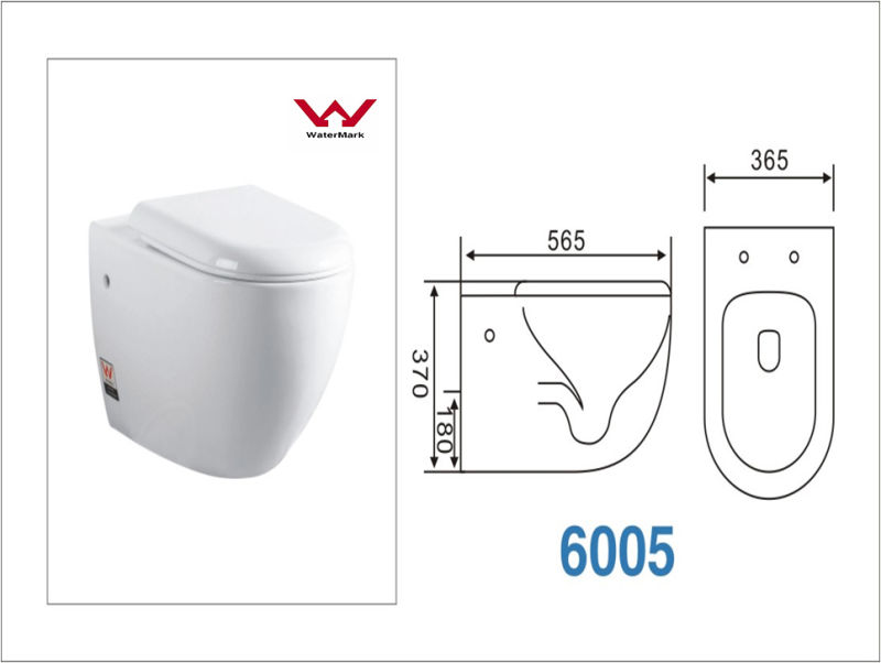 Foshan Sanitary Ware Sitting Wc Toilet