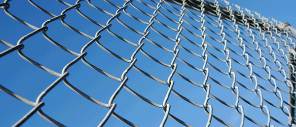 High Quality 50mm Diamond Hole Wire Fencing Mesh (WFM)