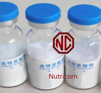 Nutricorn Food Grade/Cosmetic Grade Sodium Hyaluronate