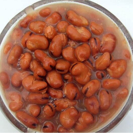 Canned Broad Beans in Brine