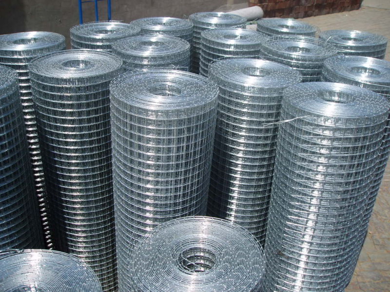 Galvanized Welded Wire Mesh