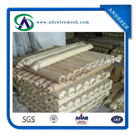 SUS304 Stainless Steel Wire Mesh (316, 316L, 304 S. S wire)