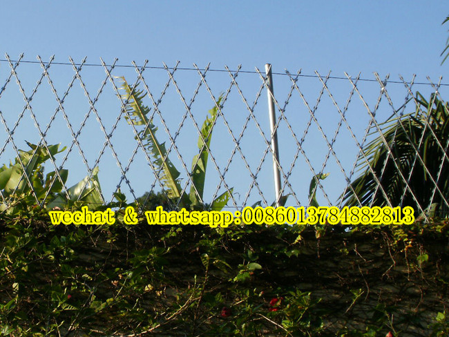 Competitive Welded Razor Wire Mesh