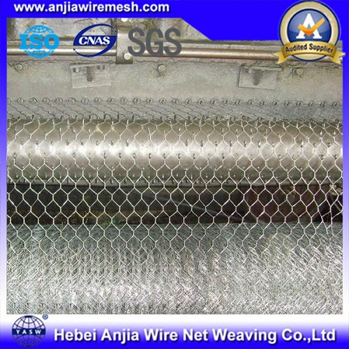 PVC Coated and Galvanized Hexagonal Wire Netting, Chicken Mesh