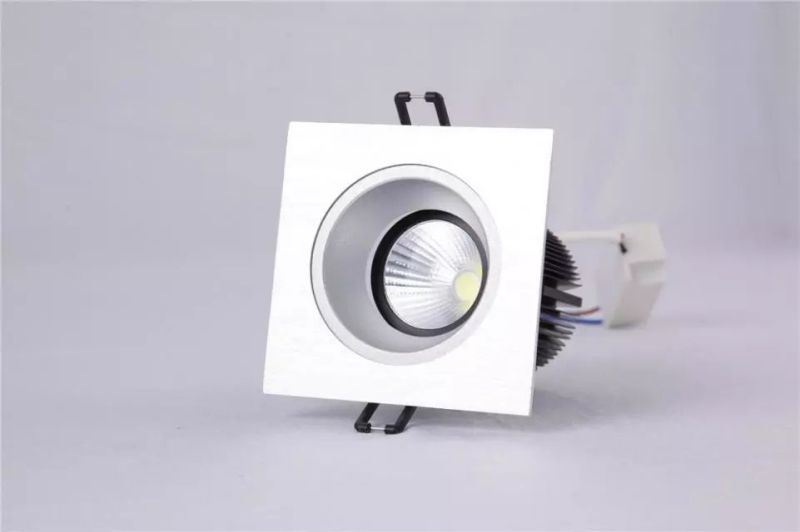 Downlight Down Light Recessed Ceiling Lamp