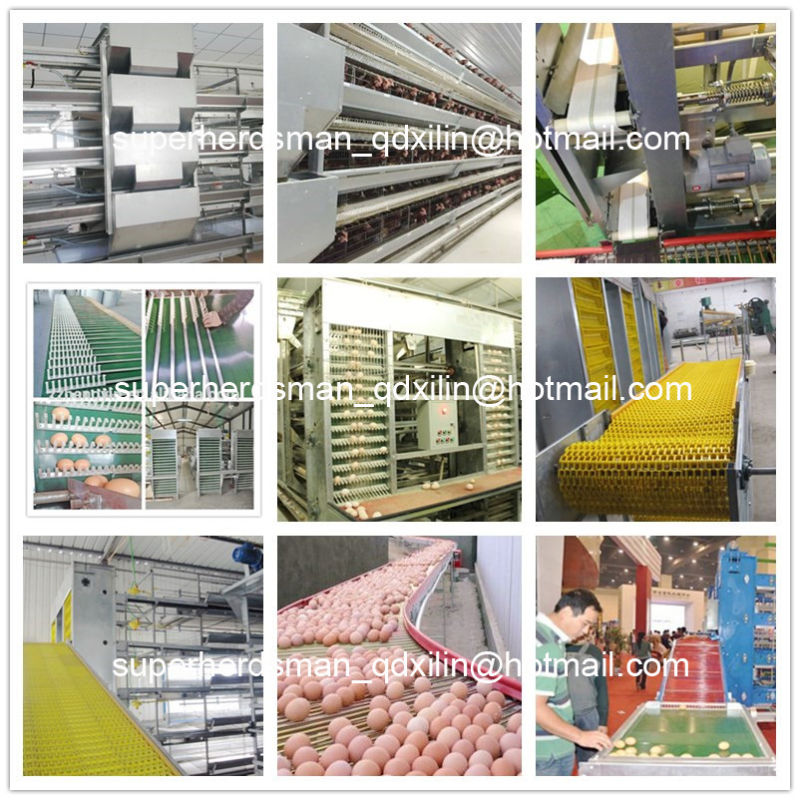 H Type Chicken Cage Poultry Equipments