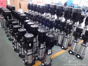 Vertical Stainless Steel Multistage Sea Water Desalination Pump