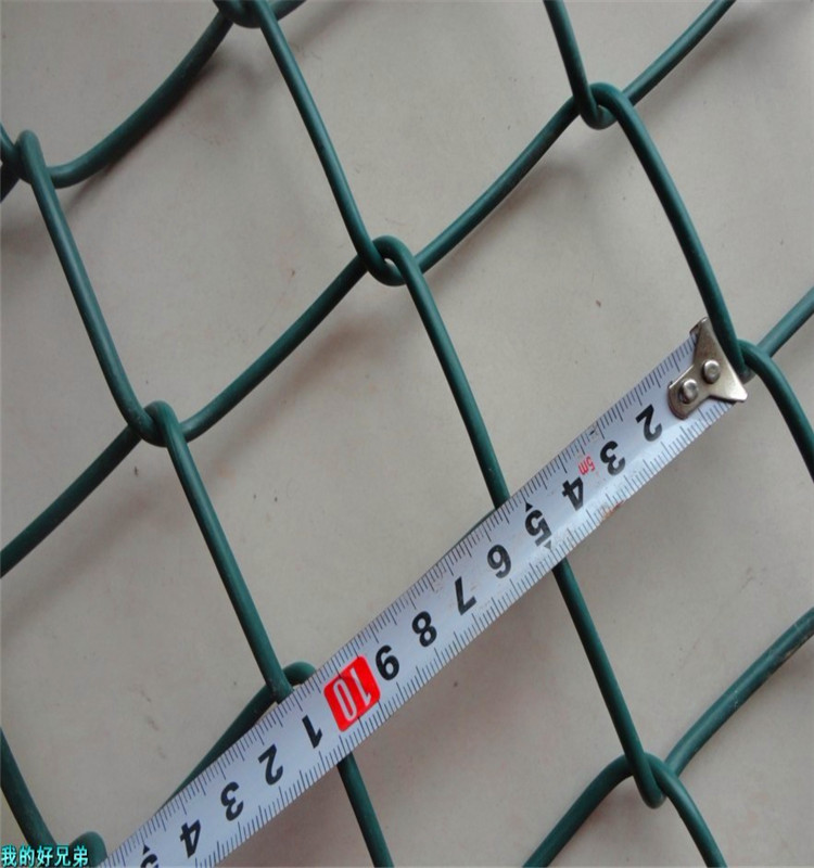 Chain Link Fence/PVC Coated Chain Link Fence (Anping)