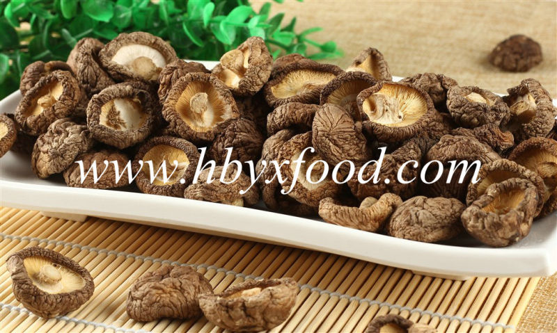 Factory Wholesale Dried Smooth Shiitake Mushroom/Dried Food