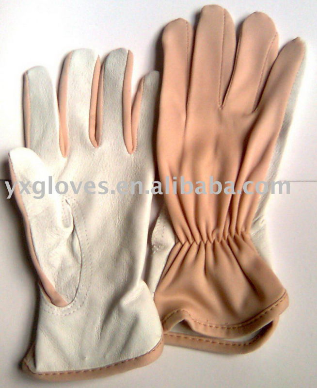 Leather Glove-Nylon Glove-Safety Glove-Garden Glove-Labor Glove