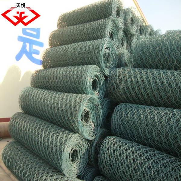 Hexagonal Wire Mesh (China supplier)