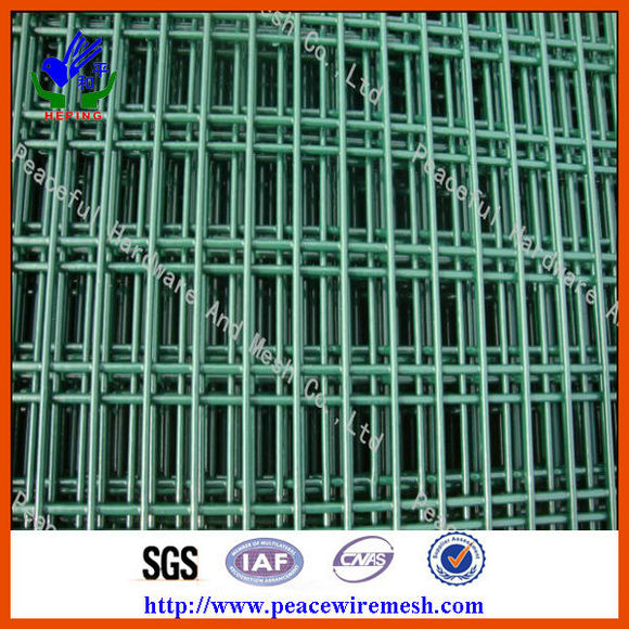 PVC Coated Welded Wire Mesh (DHW05)